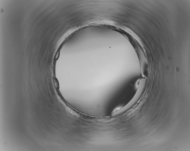 X0000073901005200609082143