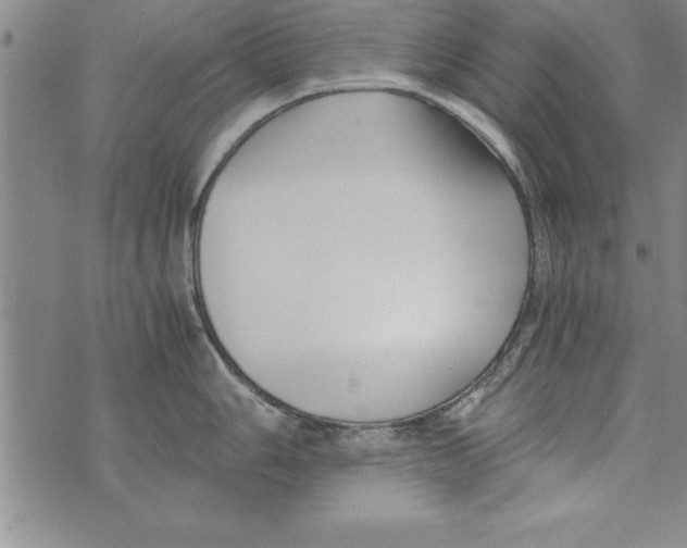 X0000073901006200609082143