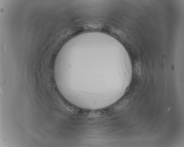 X0000073901009200609082142