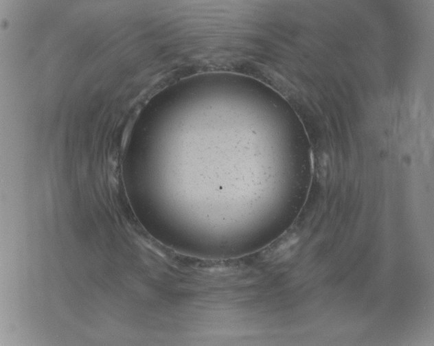 X0000073901010200609082142