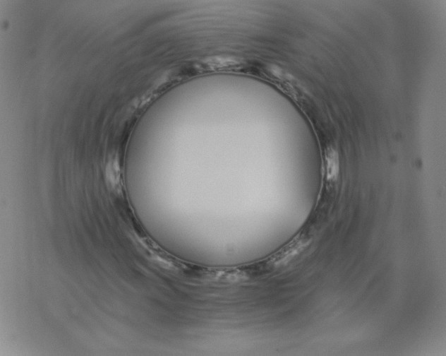 X0000073901011200609082142