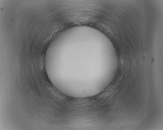 X0000073901012200609082142