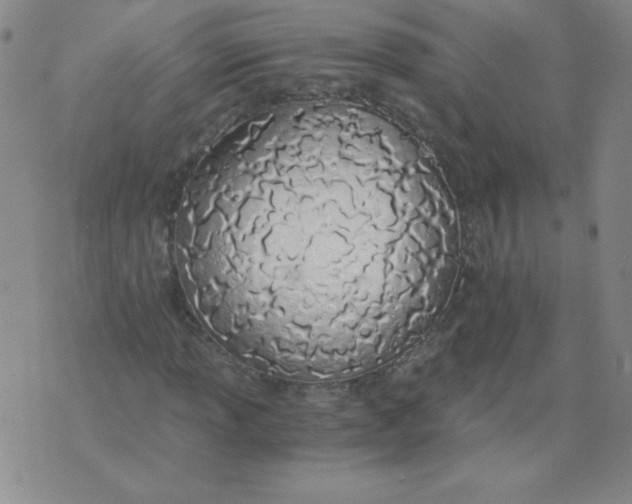 X0000073901013200609082142