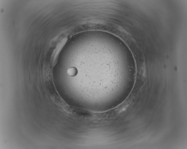 X0000073901014200609082142