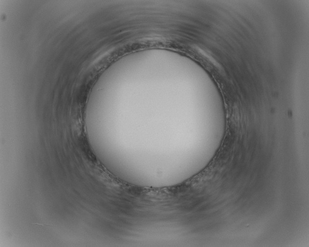 X0000073901015200609082142