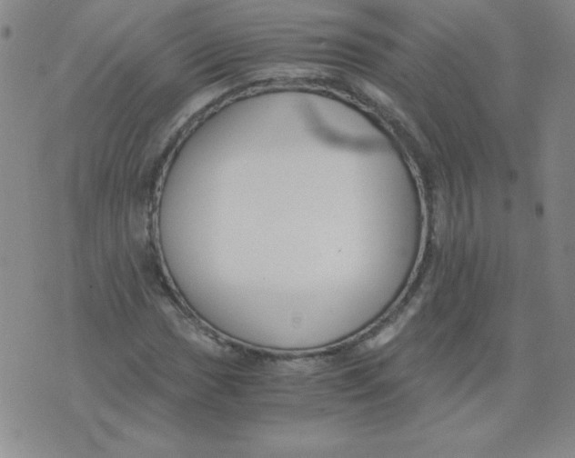 X0000073901017200609082142