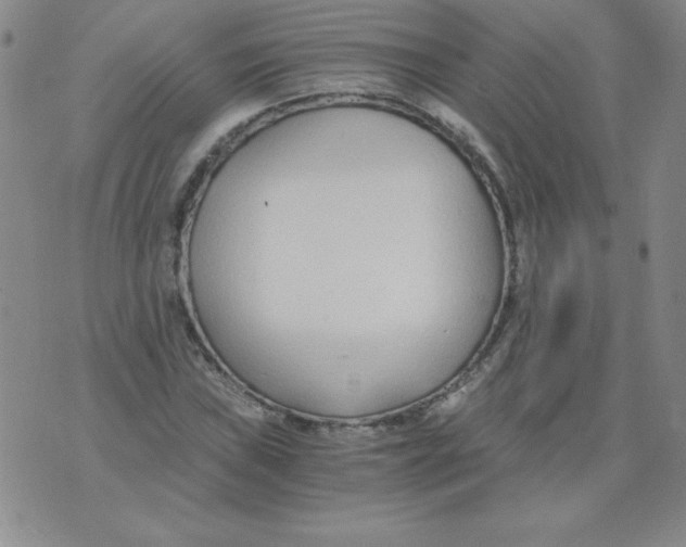 X0000073901019200609082142