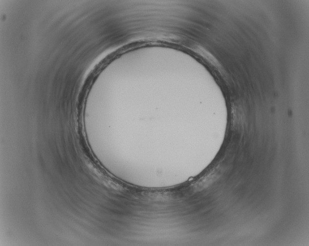 X0000073901020200609082142