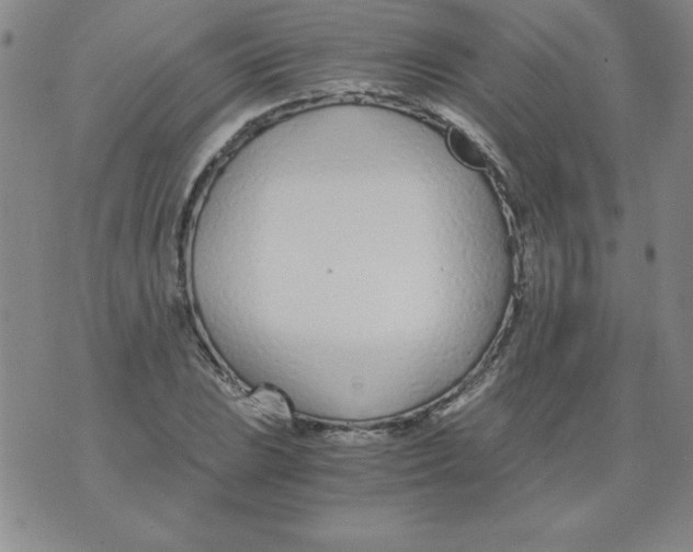 X0000073901023200609082142