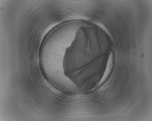 X0000073901024200609082142