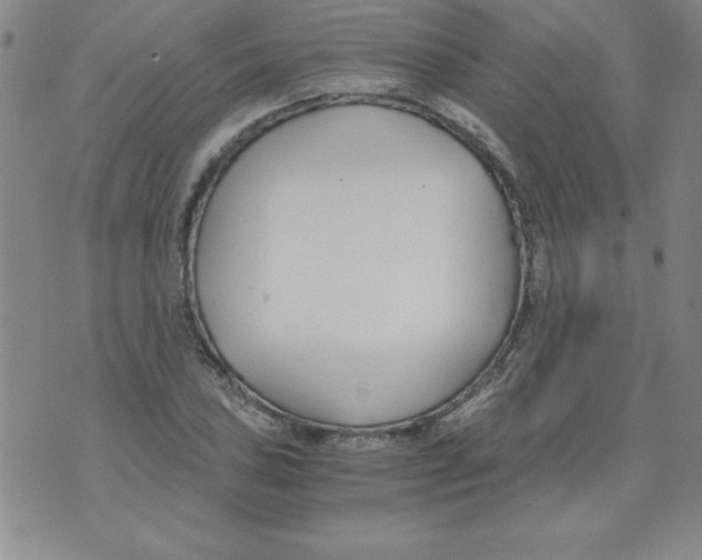 X0000073901027200609082142