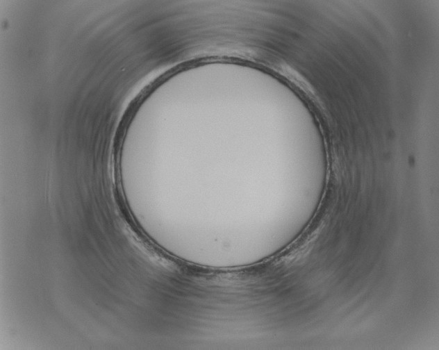 X0000073901028200609082142