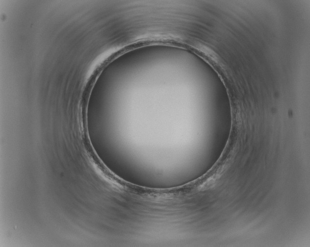 X0000073901030200609082142