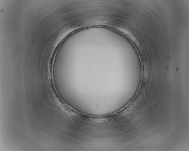 X0000073901031200609082142