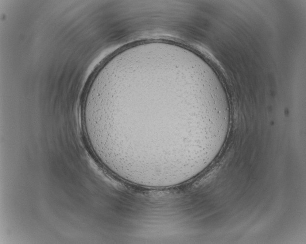 X0000073901032200609082143