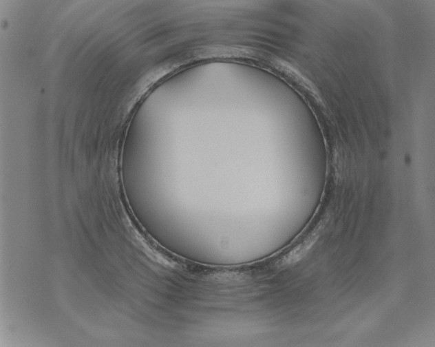 X0000073901033200609082143