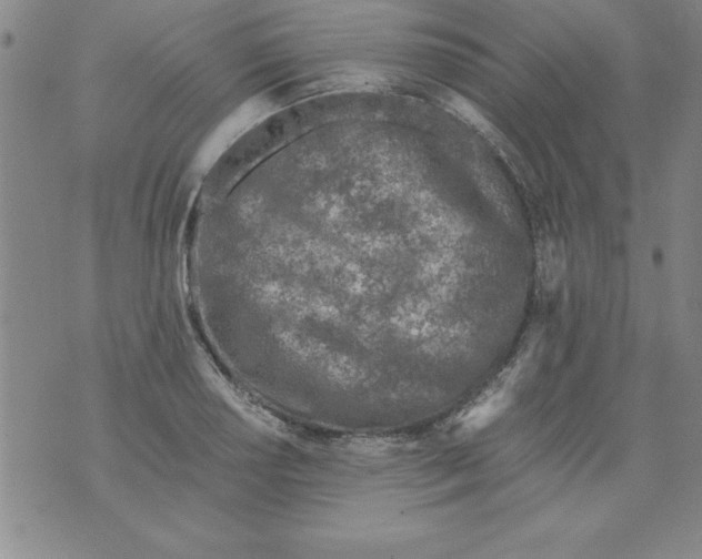 X0000073901034200609082143