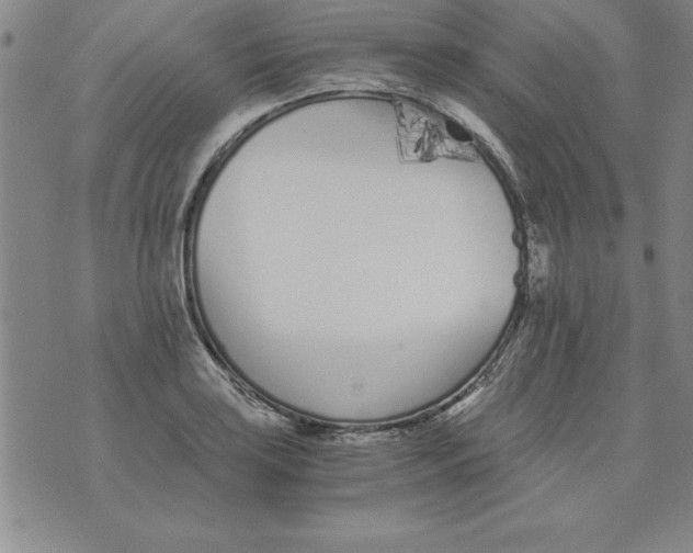 X0000073901035200609082143