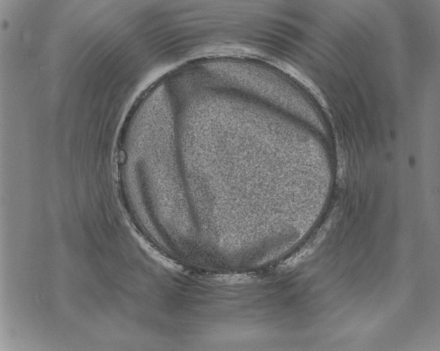 X0000073901037200609082143