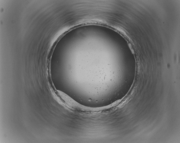 X0000073901038200609082143