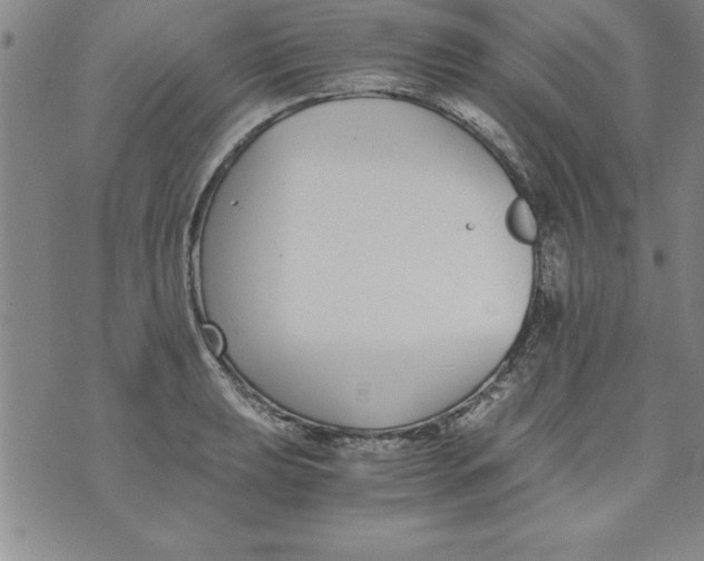 X0000073901039200609082143