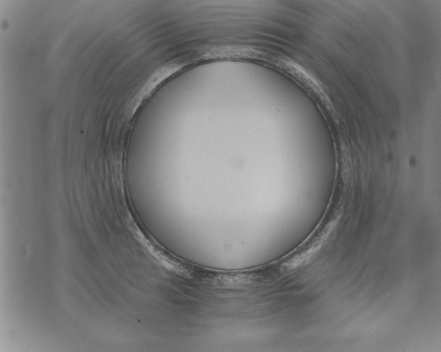 X0000073901041200609082143