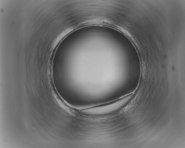 X0000073901042200609082143