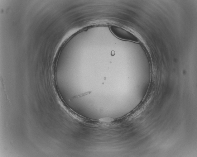 X0000073901045200609082143