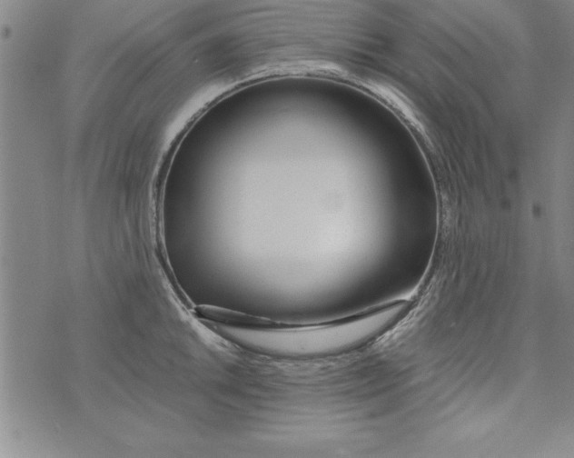 X0000073901046200609082143