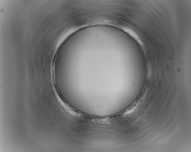 X0000073901047200609082143