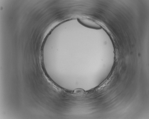 X0000073901048200609082143