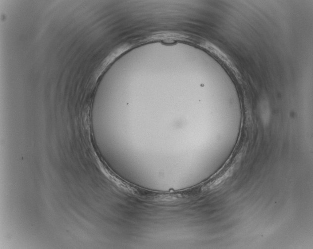 X0000073901049200609082143