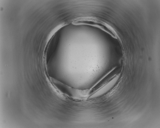 X0000073901050200609082143