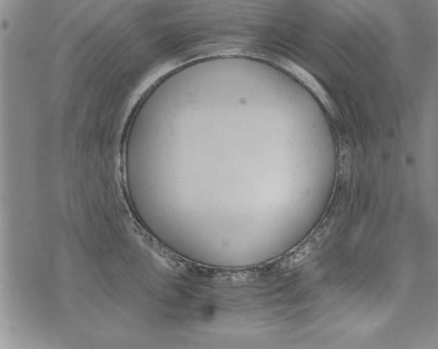 X0000073901051200609082143