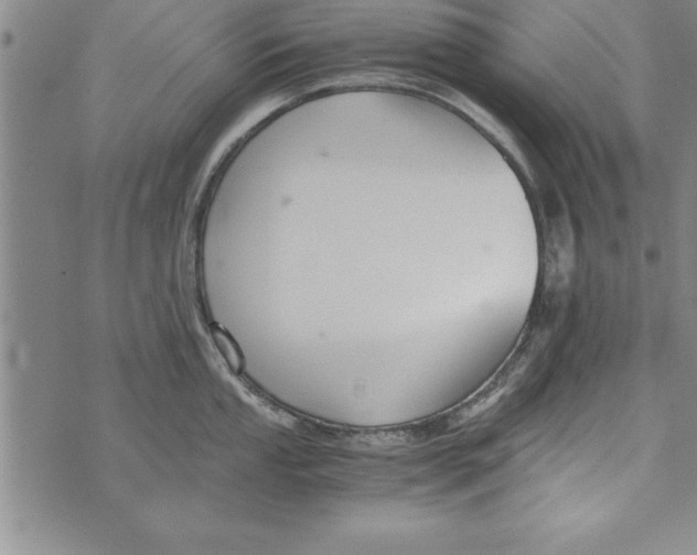 X0000073901053200609082143