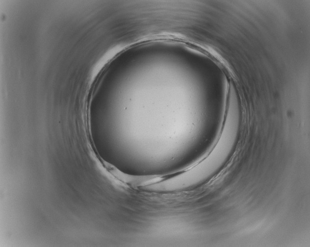 X0000073901054200609082143