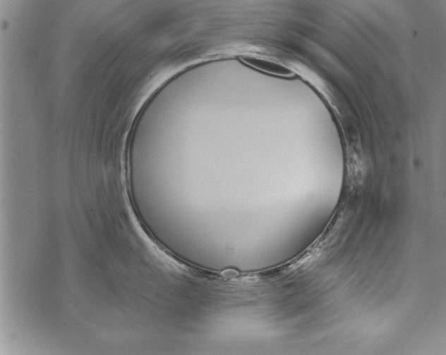 X0000073901055200609082143