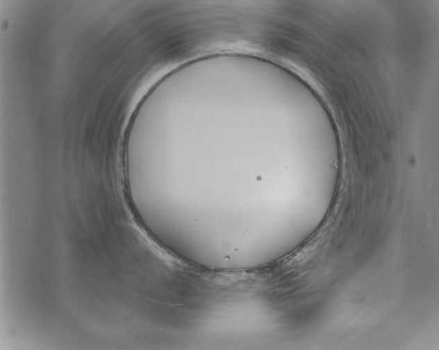 X0000073901056200609082143