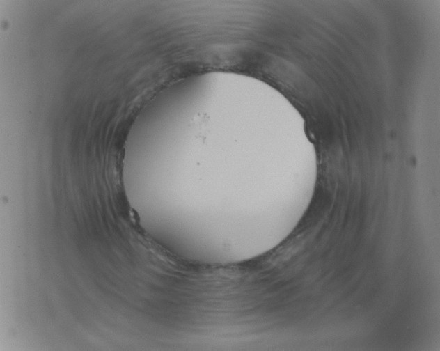 X0000073901058200609082142