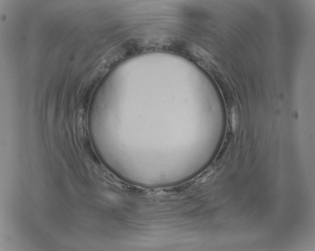 X0000073901059200609082142