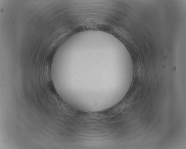 X0000073901060200609082142