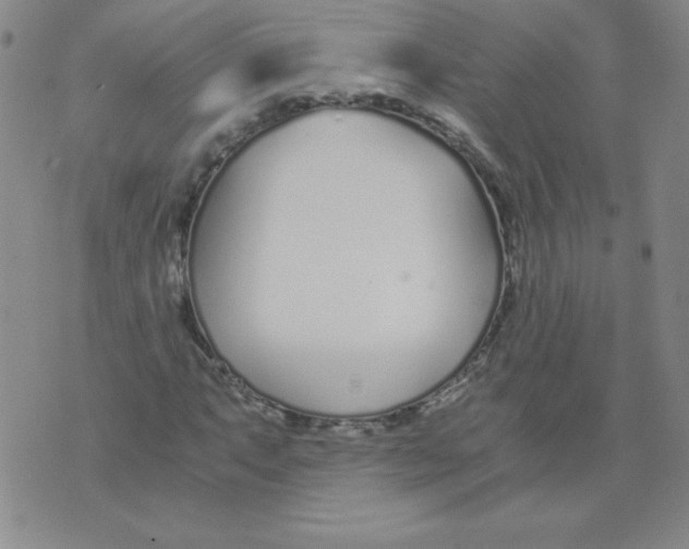 X0000073901063200609082142