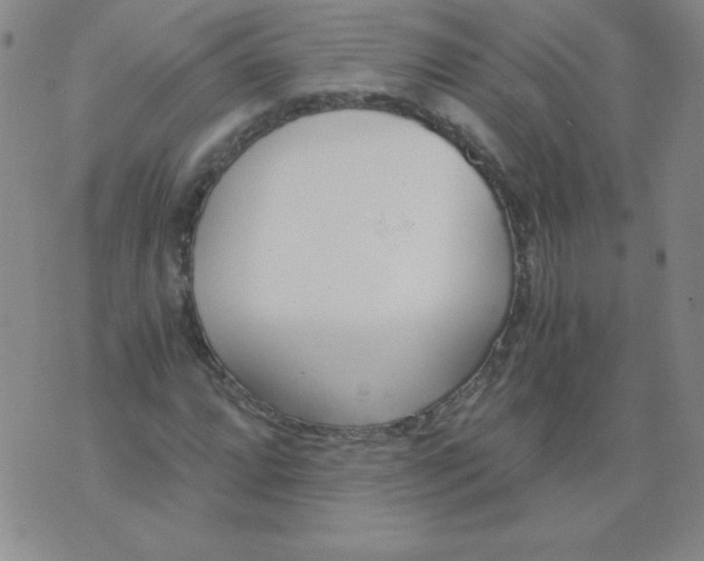 X0000073901064200609082142