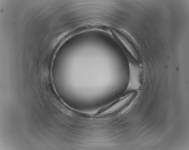 X0000073901065200609082142