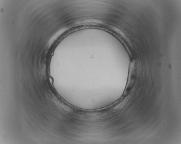 X0000073901066200609082142