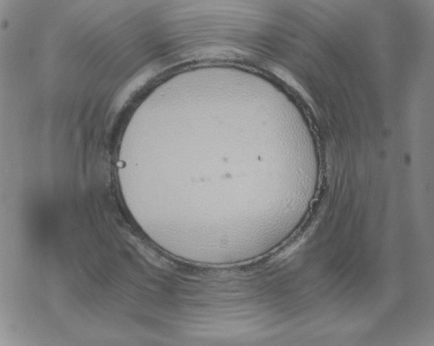 X0000073901067200609082142