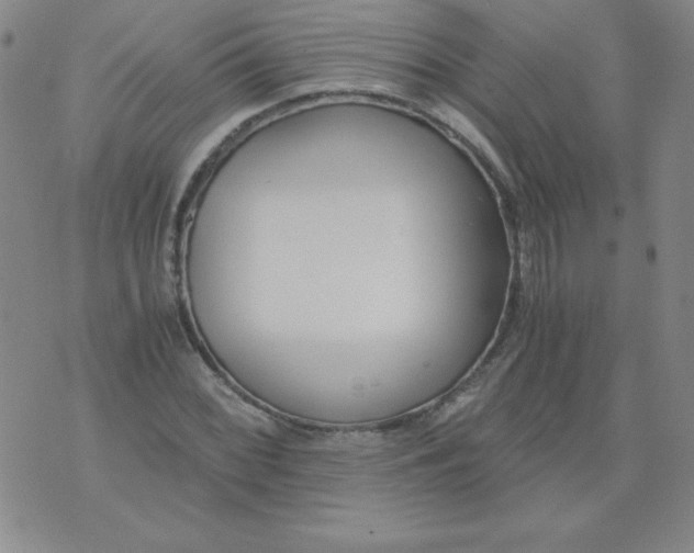 X0000073901068200609082142