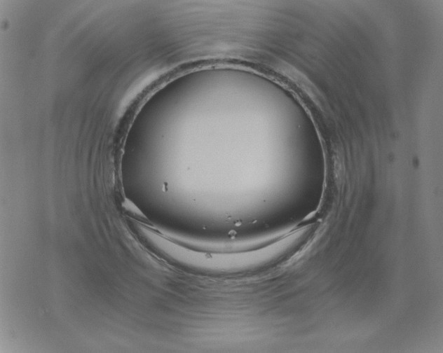 X0000073901069200609082142