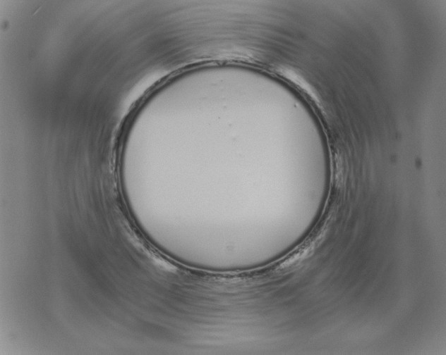 X0000073901071200609082142