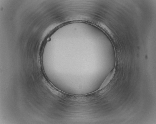 X0000073901072200609082142